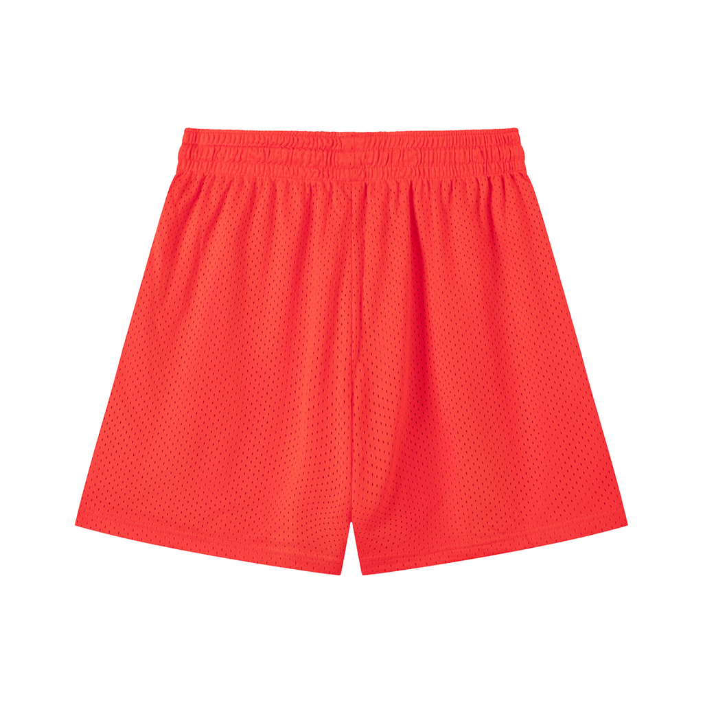 summer,shorts,mesh